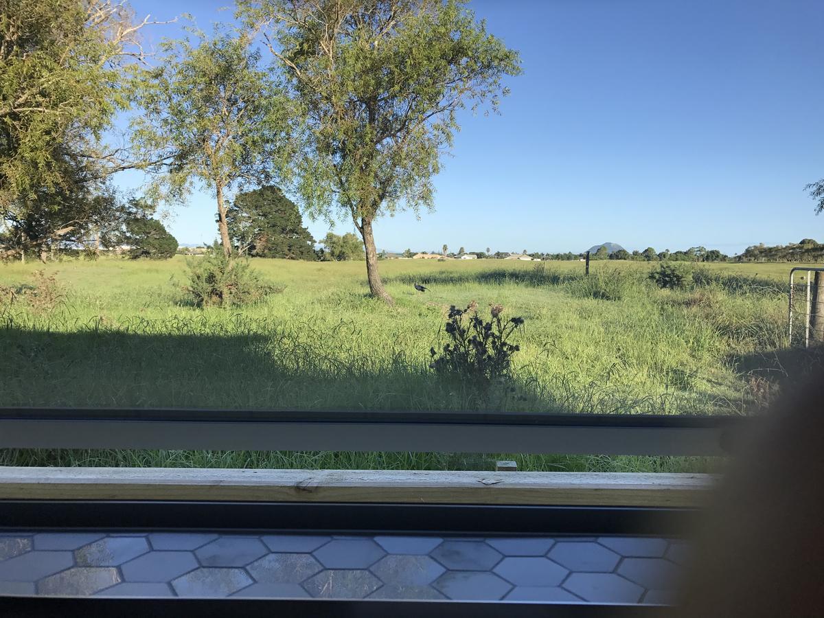 מאונט מאונגאנוי Holiday House מראה חיצוני תמונה